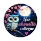 une chouette collègue