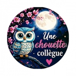 une chouette collègue