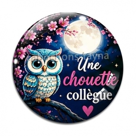 Cabochon Verre - une chouette collègue