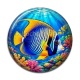 Cabochon Résine - poisson