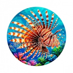 poisson