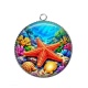 Pendentif Cabochon Argent - étoile de mer