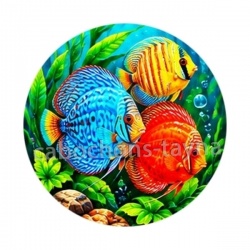 poisson