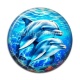 Cabochon Résine - daufin