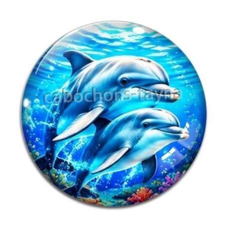 Cabochon Verre - daufin