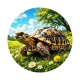 tortue de terre