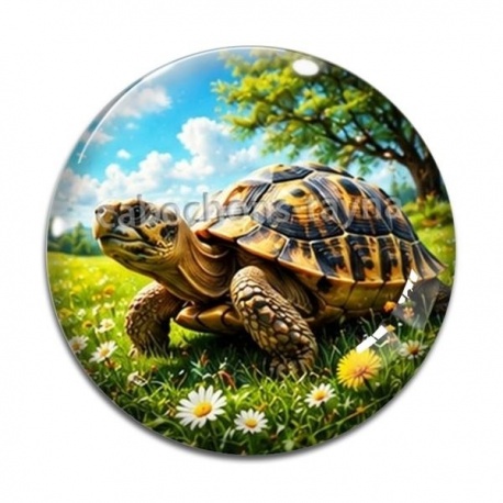 Cabochon Verre - tortue de terre