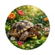 tortue de terre