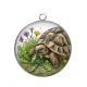 Pendentif Cabochon Argent - tortue de terre