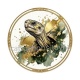 tortue de terre