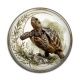 Cabochon Résine - tortue de terre