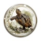 Cabochon Verre - tortue de terre