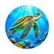 tortue de mer