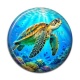 Cabochon Résine - tortue de mer