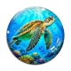 Cabochon Verre - tortue de mer