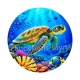 tortue de mer