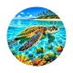 tortue de mer