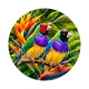 oiseaux