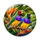 Cabochon Verre - oiseaux