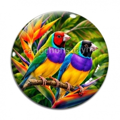 Cabochon Verre - oiseaux