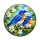 Cabochon Résine - oiseaux