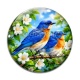 Cabochon Verre - oiseaux