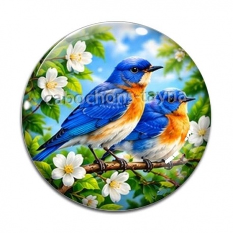 Cabochon Verre - oiseaux