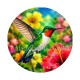 oiseaux