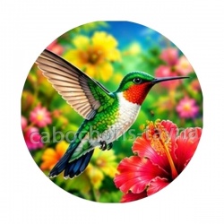 oiseaux