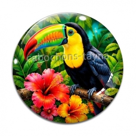 Cabochon Verre - toucan