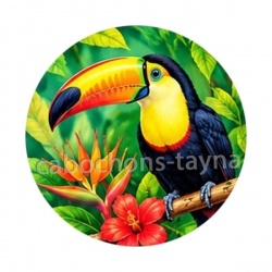 toucan