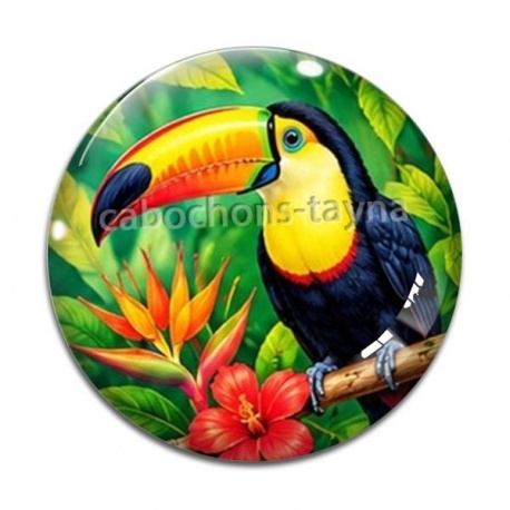 Cabochon Verre - toucan