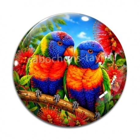 Cabochon Verre - perruche