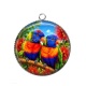 Pendentif Cabochon Argent - perruche