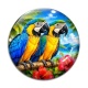 Cabochon Verre - perroquet