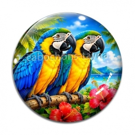 Cabochon Verre - perroquet
