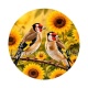 oiseaux
