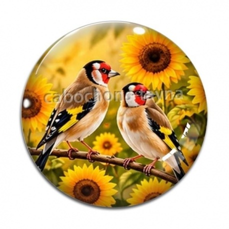 Cabochon Verre - oiseaux