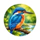 oiseaux