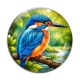 Cabochon Verre - oiseaux