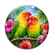 Cabochon Verre - perruche