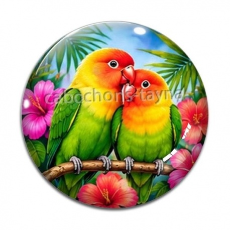 Cabochon Verre - perruche