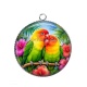 Pendentif Cabochon Argent - perruche