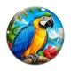 Cabochon Verre - perroquet