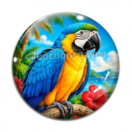 Cabochon Verre - perroquet