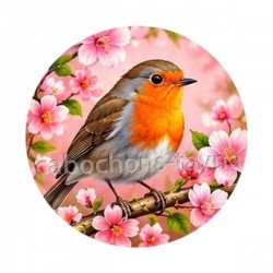oiseaux