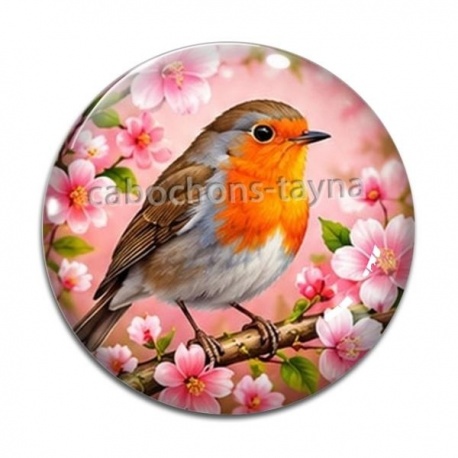 Cabochon Verre - oiseaux