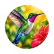 oiseaux