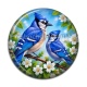 Cabochon Résine - oiseaux