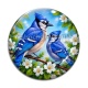 Cabochon Verre - oiseaux